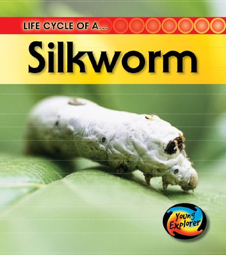 9780431999555: Life Cycle of a Silkworm (Life Cycles)