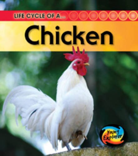 Life Cycle of a Chicken (Young Explorer: Life Cycles) (9780431999678) by Royston, Angela