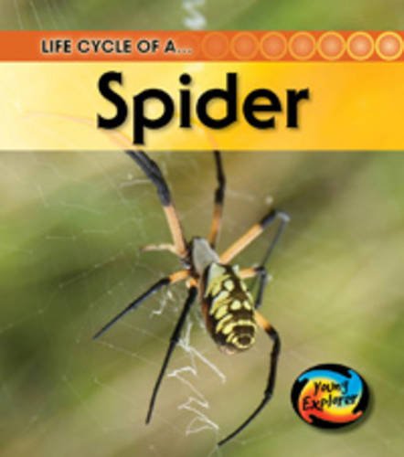 Life Cycle of a Spider (Young Explorer: Life Cycles) (9780431999746) by Fridell, Ron