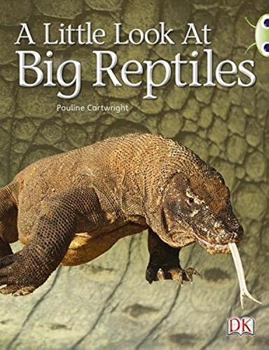 Imagen de archivo de Bug Club Guided Non Fiction Year 1 Blue B A Little Look at Big Reptiles a la venta por WorldofBooks