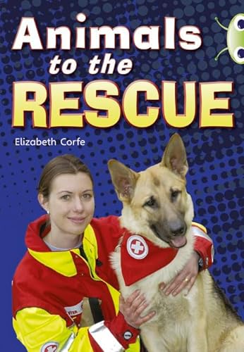 Imagen de archivo de animals to the rescue (BUG CLUB) a la venta por WorldofBooks