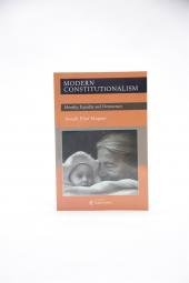 Imagen de archivo de Modern Constitutionalism: Identity, Equality, and Democracy a la venta por Bookmonger.Ltd