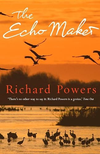 9780434016334: The Echo Maker