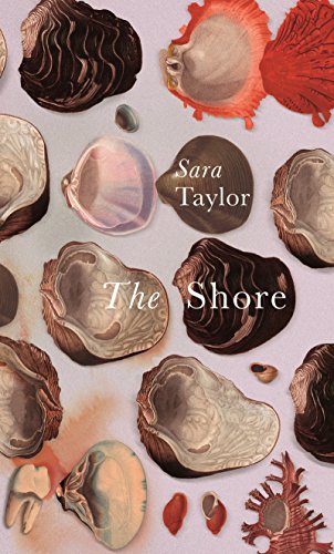 Stock image for The Shore for sale by WorldofBooks