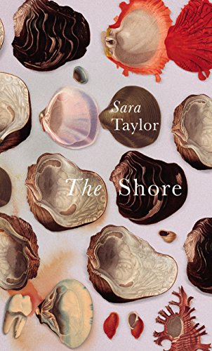 Stock image for The Shore for sale by WorldofBooks