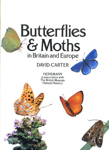 Imagen de archivo de Butterflies and Moths in Britain and Europe a la venta por WorldofBooks