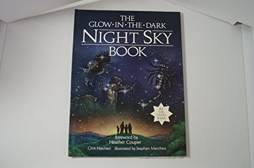 9780434942244: Glow-in-the-dark-night-sky Book