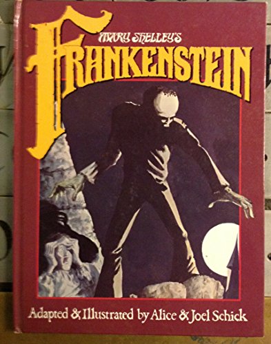 Imagen de archivo de Frankenstein a la venta por The Book Bin