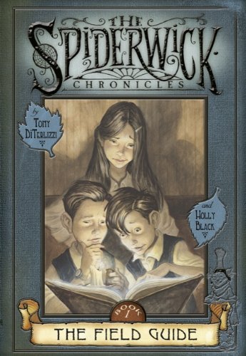 9780435035709: Literacy Evolve: Year 4 the Spiderwick Chronicles