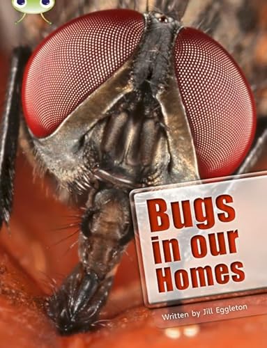 Beispielbild fr Bugs in Our Homes (BUG CLUB) zum Verkauf von WorldofBooks