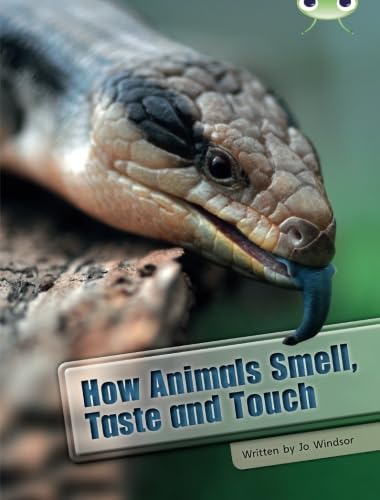Beispielbild fr How Animals Smell, Taste and Touch (BUG CLUB) zum Verkauf von AwesomeBooks
