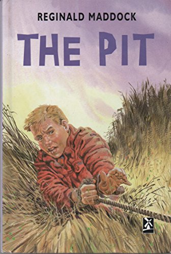9780435124755: The Pit
