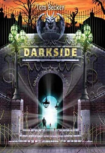 Imagen de archivo de Darkside (New Windmills KS3) a la venta por AwesomeBooks