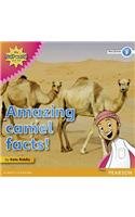 Stock image for My Gulf World and Me Level 3 non-fiction reader: Amazing camel facts! for sale by THE SAINT BOOKSTORE