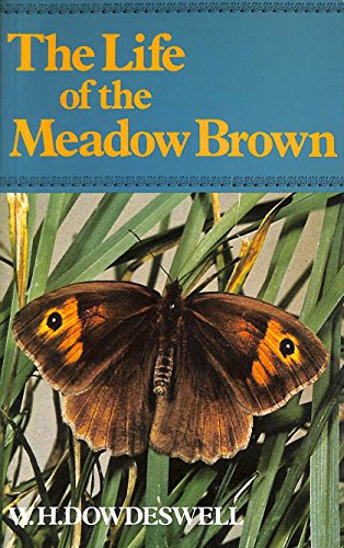 Stock image for The life of the meadow brown for sale by WorldofBooks