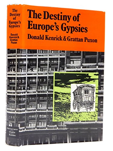9780435821920: Destiny of Europe's Gypsies (Columbus Centre S.)