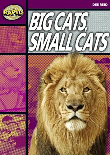 Beispielbild fr Rapid Reading: Big Cats Small Cats (Stage 1, Level 1A) zum Verkauf von WorldofBooks