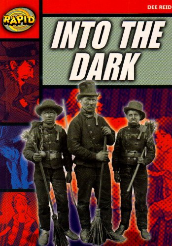 Beispielbild fr Into the Dark zum Verkauf von WorldofBooks
