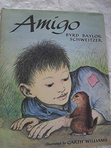 Stock image for Amigo for sale by Books & Bygones