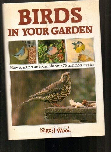 Beispielbild fr Birds in Your Garden zum Verkauf von AwesomeBooks