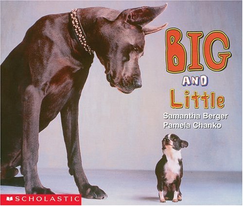 9780439045971: Big and Little