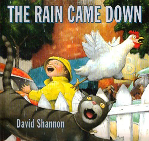 Imagen de archivo de The Rain Came Down a la venta por Gulf Coast Books