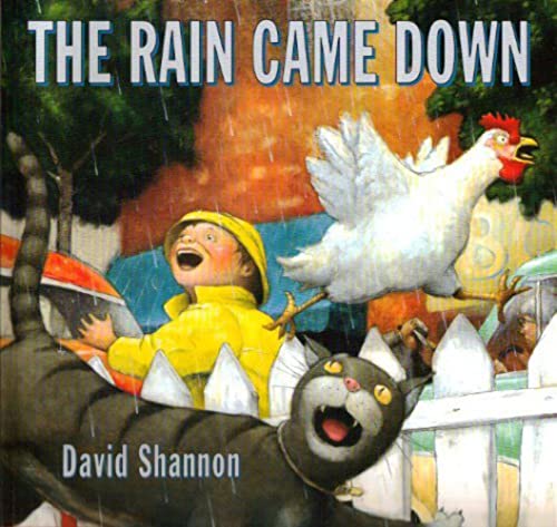 Stock image for The Rain Came Down for sale by Gulf Coast Books