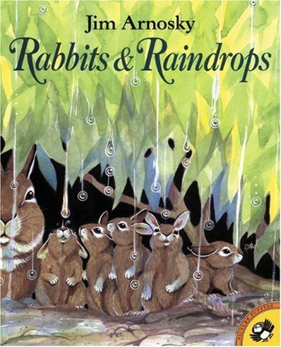 Stock image for Rabbits & Raindrops for sale by SecondSale