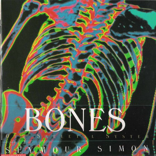 9780439078085: Bones Our Skeletal System Edition: Reprint