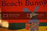 Stock image for Beach bunny for sale by Orion Tech