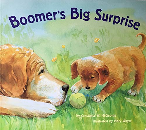9780439133074: Boomer's Big Surprise