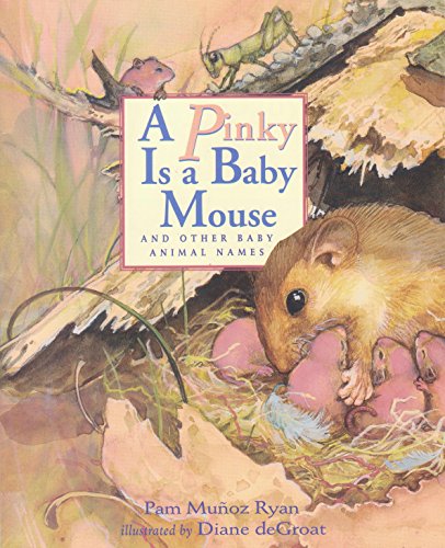 Stock image for A Pinky is a Baby Mouse for sale by Better World Books