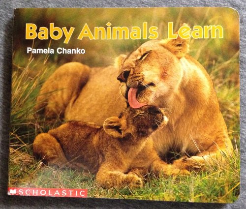 9780439155182: Baby Animals Learn