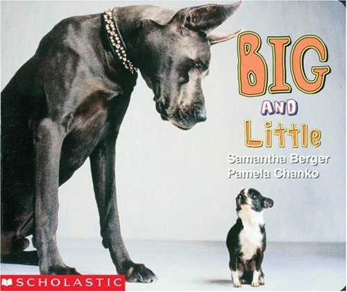 Stock image for Big and Little for sale by Better World Books