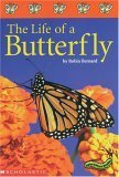 Stock image for Super-Science Readers: The Life of a Butterfly: Colorful and Enga for sale by Hawking Books