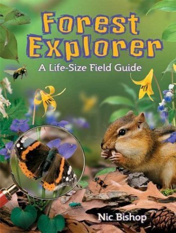 Stock image for Forest Explorer: A Life-sized Field Guide for sale by SecondSale