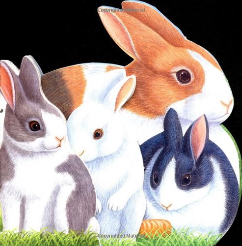 Stock image for Bouncing Bunnies (Animal Babies) for sale by HPB-Emerald