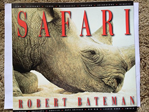 Beispielbild fr Safari zum Verkauf von Better World Books