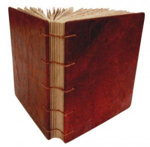 Imagen de archivo de THE MISFORTUNE COOKIE, THE ZACK FILES a la venta por Better World Books