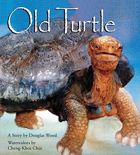 Stock image for Old Turtle (Lessons of Old Turtle) for sale by Your Online Bookstore