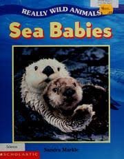 9780439334891: Really wild animals: Sea babies