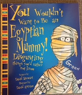 Stock image for You Wouldn't Want to Be an Egyptian Mummy! : Disgusting Things You'd Rather Not Know for sale by ZBK Books