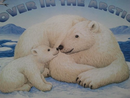 Imagen de archivo de Over in the Arctic a la venta por Your Online Bookstore
