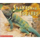 Stock image for Snakes and Lizards/serpientes Y Lagartos (English/Espanol) for sale by -OnTimeBooks-