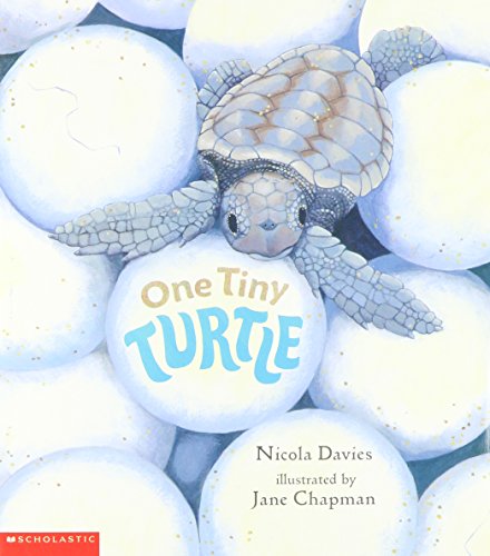Imagen de archivo de One Tiny Turtle a la venta por SecondSale