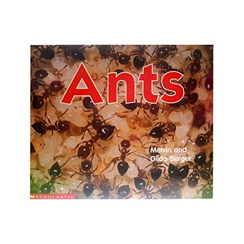 Beispielbild fr Ants (Scholastic Time-to-Discover Readers) zum Verkauf von BooksRun