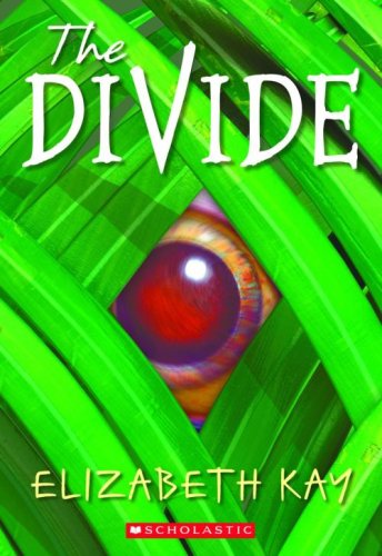 9780439543439: The Divide
