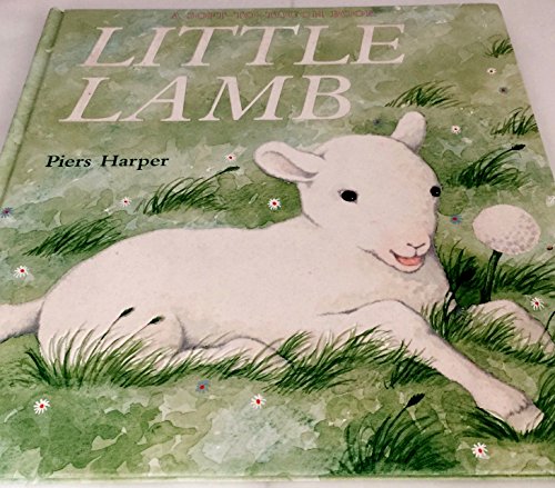 Stock image for Little Lamb for sale by Wonder Book