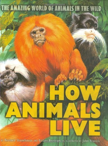 9780439548342: How Animals Live: Amazing World of Animals in the Wild, The