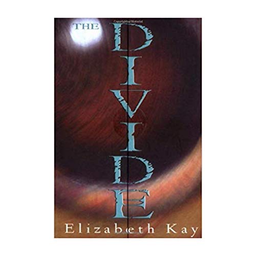 Stock image for The Divide for sale by Gulf Coast Books